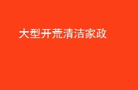 Ϳ